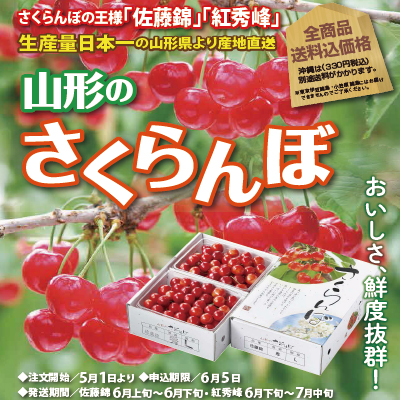 産地直送！山形県産さくらんぼギフトご注文承り中